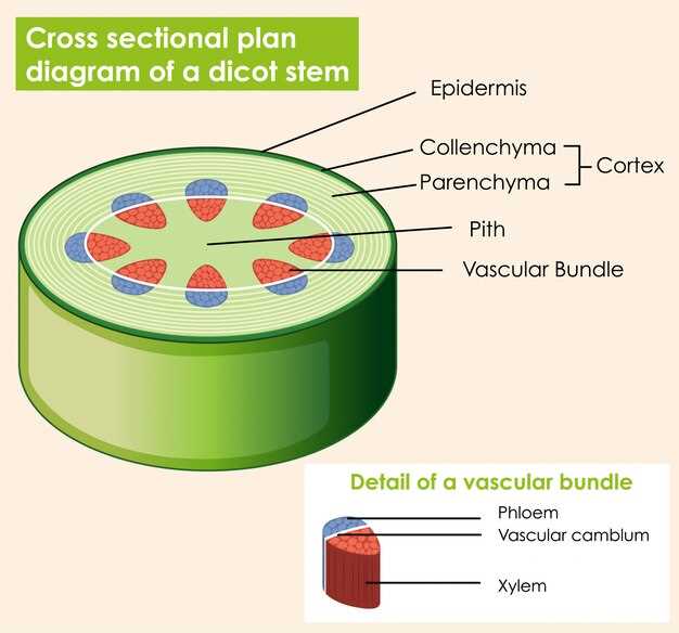 Role of tamsulosin