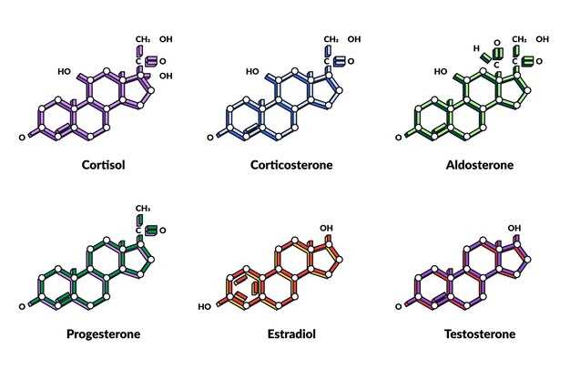 Tamsulosin hydrochloride structure