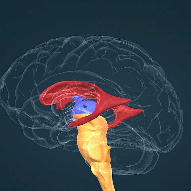 Tamsulosin neurogenic bladder