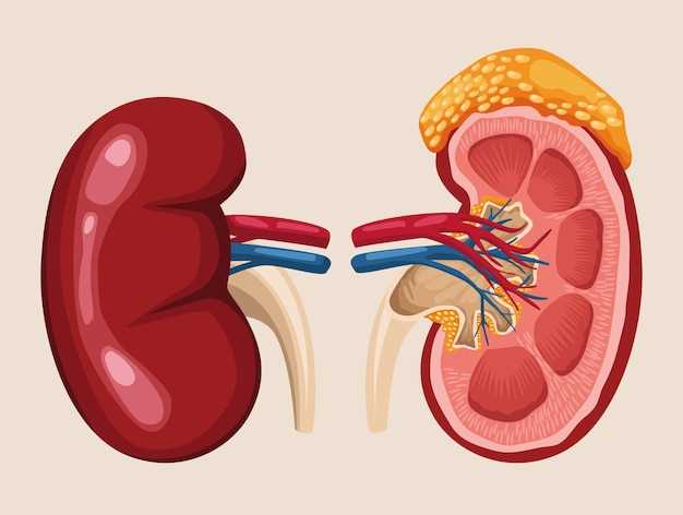 Use of tamsulosin for renal stones